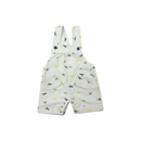 Braga Niño 1435 For Babys