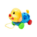 PERRO DIDACTICO MALLA 1364 PLASTICOS