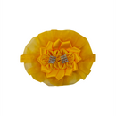 BALACA CINTILLO BS10 DULCE BENDICIÓN