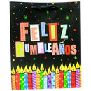 BOLSA DE REGALO CUMPLE BR4171S GAVALZA