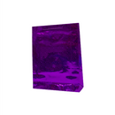 Bolsa Regalo Holograma BR5113 Gavalza