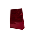 Bolsa Regalo Holograma BR5113 Gavalza