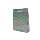 Bolsa Regalo Holograma BR5113 Gavalza