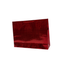 Bolsa Regalo Holograma BR6142L Gavalza