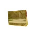 Bolsa Regalo Holograma BR6142L Gavalza