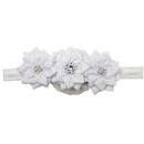 Balaca Cintillo Bs40 Dulce Bendicion