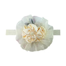 Balaca Cintillo Bs115 Dulce Bendicion