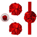 #color_rojo