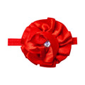 #color_rojo