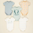Body Cometa X5 718927 Baby Fresh