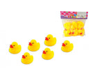 CHILLON PATO X6 2020 LA GLORIA