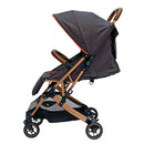 COCHE CONFORT 03 FISHER PRICE
