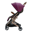 COCHE CONFORT 05 FISHER PRICE