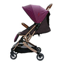 COCHE CONFORT 05 FISHER PRICE