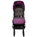 COCHE CONFORT 05 FISHER PRICE