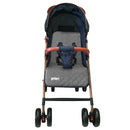COCHE PARK PRIORI