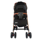 COCHE PARK PRIORI