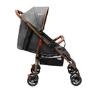 COCHE PARK PRIORI