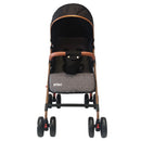 COCHE PARK PRIORI