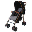 COCHE PARK PRIORI