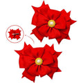 #color_rojo