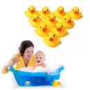 CHILLON PATO X12 391-11A LA GLORIA