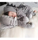 ELEFANTE AP3-2026B DPELOS