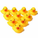 CHILLON PATO X12 391-11A LA GLORIA