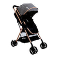 COCHE MOISES NUVO BEBESITOS GRIS