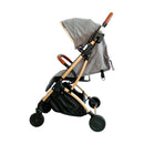 COCHE MALETA ASTON BEBESITOS