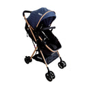 COCHE MOISES NUVO BEBESITOS