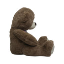 PELUCHE OSO AP3-2847 DPELOS