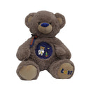 PELUCHE OSO AP3-2882 DPELOS