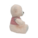 PELUCHE OSO AP3-2600 DPELOS