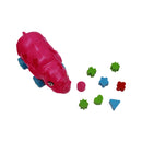 Rinoceronte Didactico Campioni