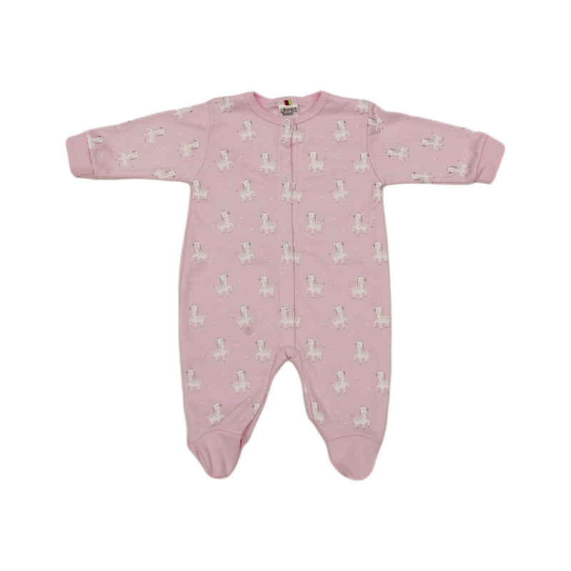 PRIMER DIA 631 CHOCOMIEL