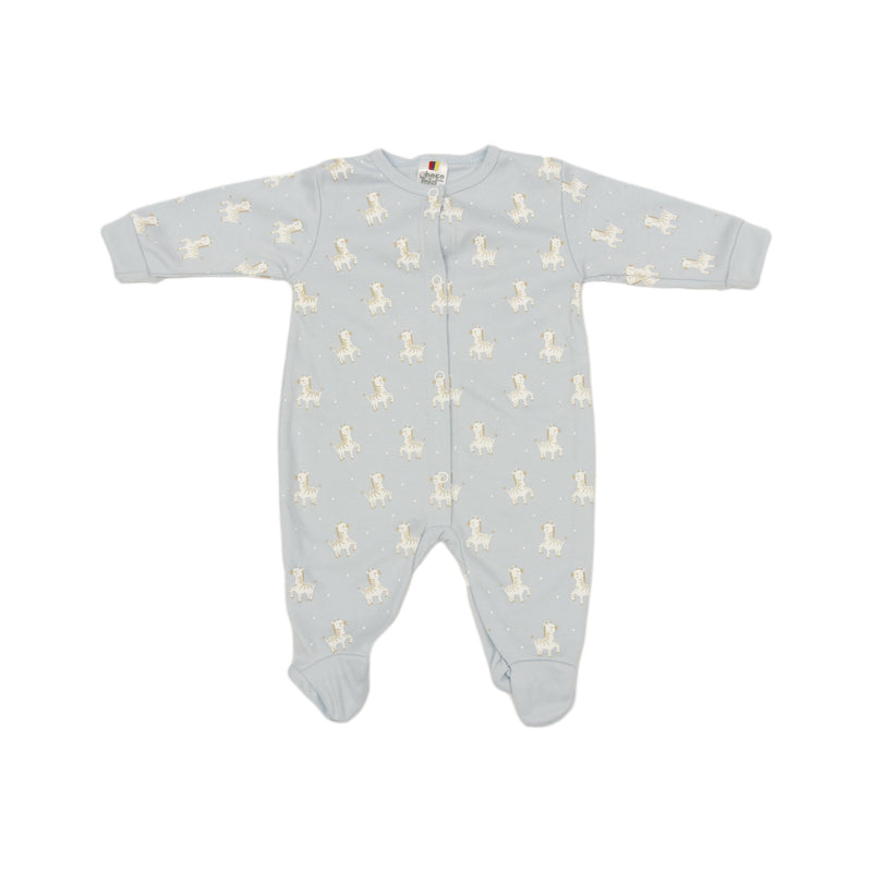 PRIMER DIA 631 CHOCOMIEL