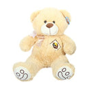 Oso Ap3-3071-2 Dpelos