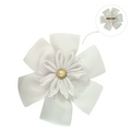 #Color_blanco
