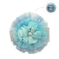 #Color_celeste
