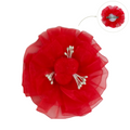 #Color_rojo