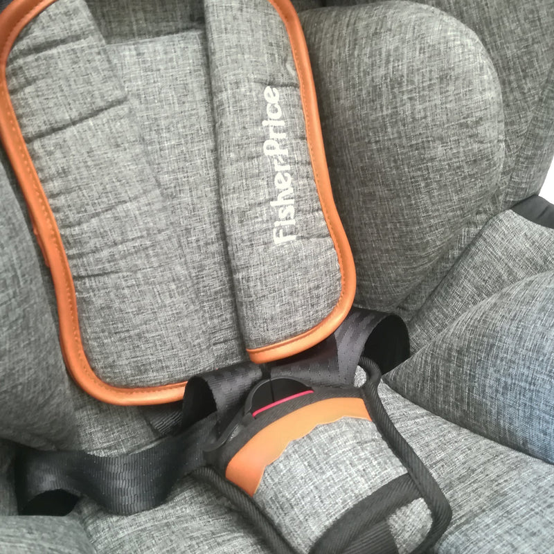 SILLA PARA CARRO DANNY FISHER PRICE GREY