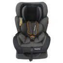 SILLA PARA CARRO DANNY FISHER PRICE GREY