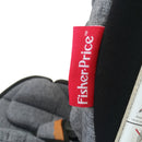 SILLA PARA CARRO DANNY FISHER PRICE GREY