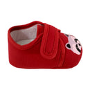 Zapato Niño 1266d For Baby