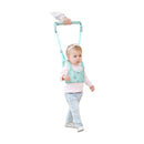 CINTURON SEGURIDAD BEBE A2018 LA GLORIA